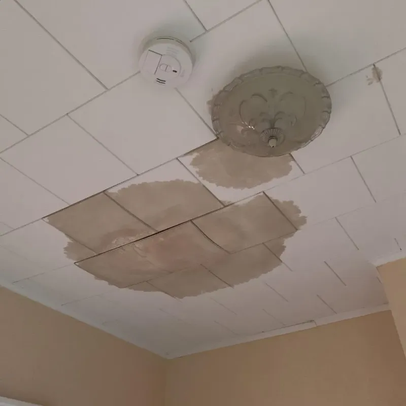 Ceiling Water Damage Repair in Charlotte, VT