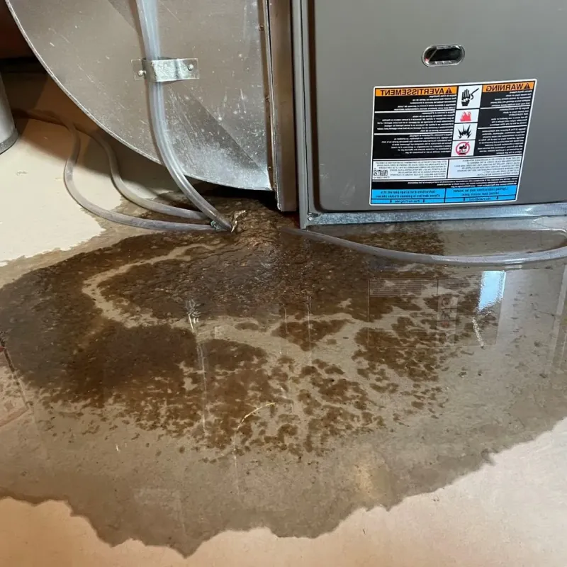 Pipe Burst and Leak Restoration in Charlotte, VT
