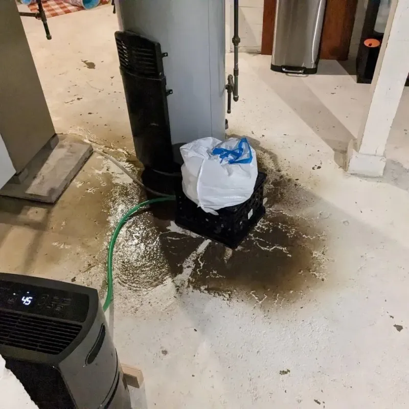 Sewage Backup Cleanup Service in Charlotte, VT
